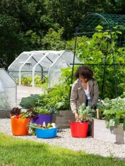 3-Season Plant Protection Tent, 3' X 6' -Garden Care Shop 35 592 0181 1