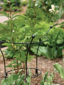 Front Page -Garden Care Shop 37450 7614 tif