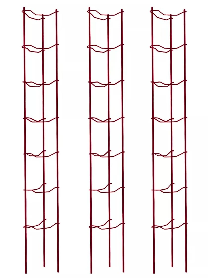 Tomato Ladders, Set Of 3 4 Tomato Ladders, Set Of 3 - Image 4