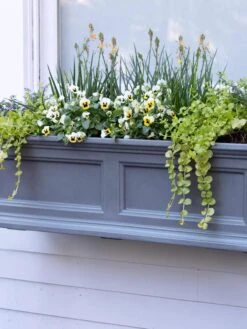 Fairfield Self-Watering Window Box, 3’ 9 Fairfield Self-Watering Window Box, 3’ -Garden Care Shop 39 344 9360 tif