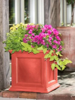 Fairfield Self-Watering Square Planter, 20” X 20” 14 Fairfield Self-Watering Square Planter, 20” X 20” -Garden Care Shop 39 618 08477 tif
