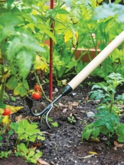 Gardener's Lifetime Long-Handled Double Tool -Garden Care Shop 3 4 crop 8592107 2460 tif