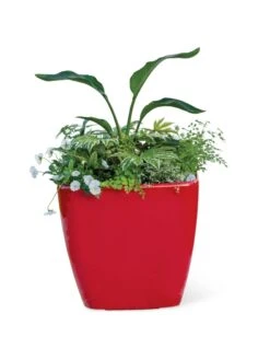 Viva Square Self-Watering Rolling Planter, 20" Diameter, Set Of 2 18 Viva Square Self-Watering Rolling Planter, 20" Diameter, Set Of 2 -Garden Care Shop 3 4 crop 8612930 0037 tif