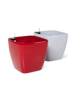 Viva Square Self-Watering Rolling Planter, 20" Diameter, Set Of 2 23 Viva Square Self-Watering Rolling Planter, 20" Diameter, Set Of 2 -Garden Care Shop 3 4 crop 8612930 0104