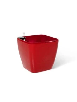 Viva Square Self-Watering Rolling Planter, 20" Diameter, Set Of 2 25 Viva Square Self-Watering Rolling Planter, 20" Diameter, Set Of 2 -Garden Care Shop 3 4 crop 8612930 0105