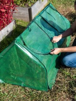 Multi Cloche 12 Multi Cloche -Garden Care Shop 3 4 crop 8613213 0250