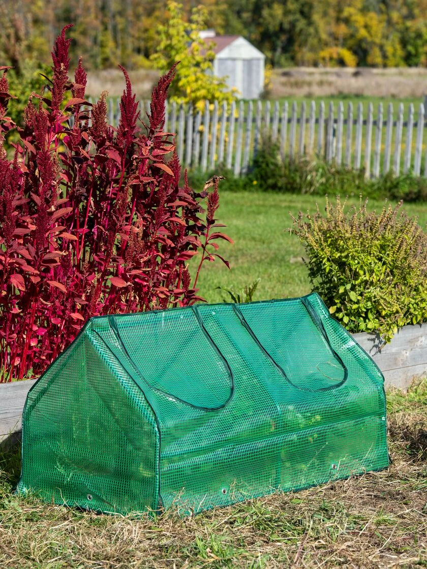 Multi Cloche 2 Multi Cloche - Image 2