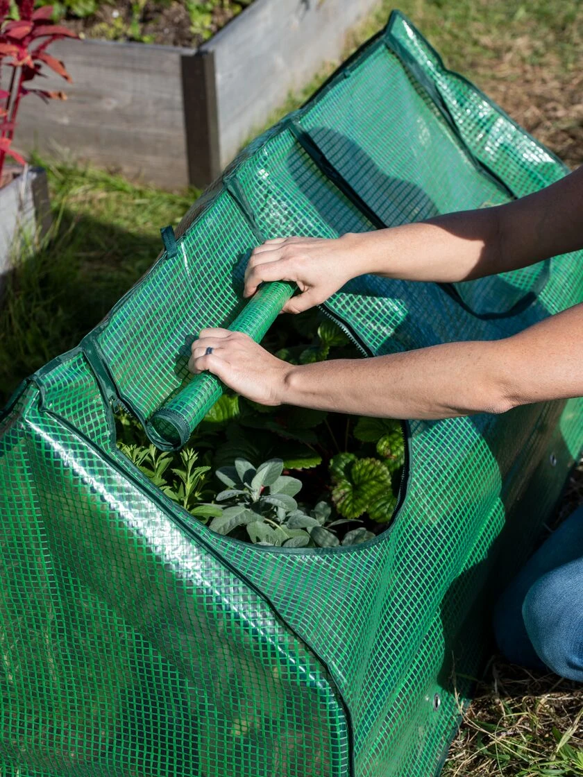 Multi Cloche 5 Multi Cloche - Image 5