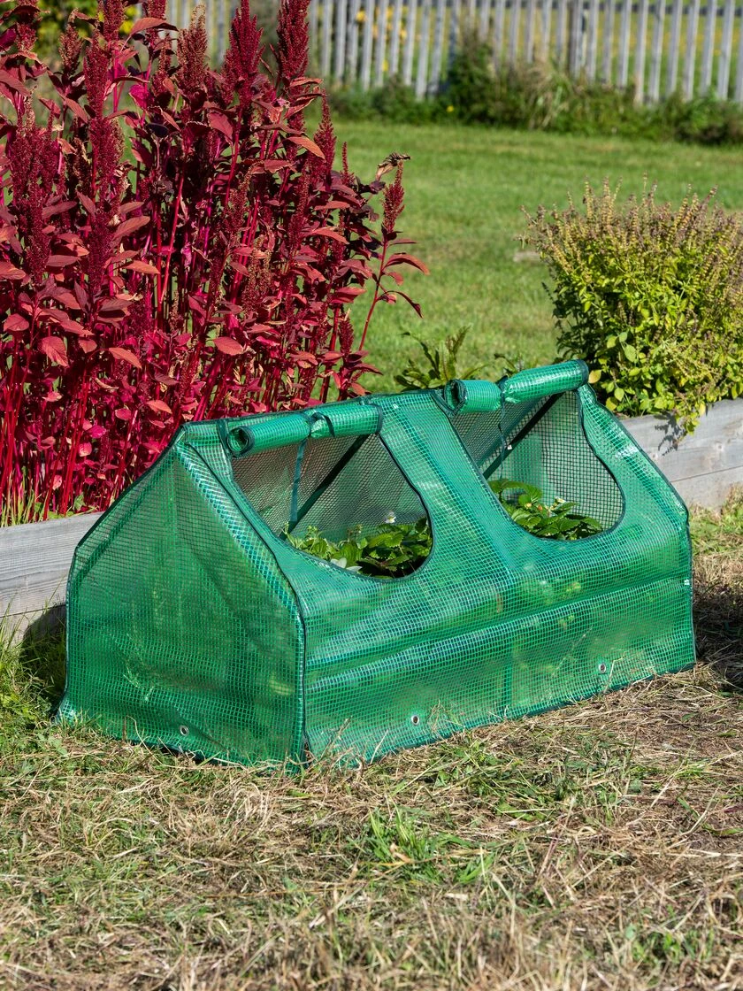 Multi Cloche 1 Multi Cloche