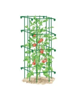 Tomato Cage, Single -Garden Care Shop 8587039 TomatoCage GRN tif