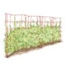 Expandable Pea Trellis