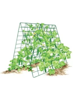 Deluxe Cucumber Trellis -Garden Care Shop 8587083 001 GRN tif