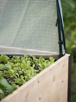 Protection Frame & Covers, 2' X 8' -Garden Care Shop 8587631 265 tif