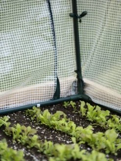 Protection Frame & Covers, 2' X 8' -Garden Care Shop 8587631 271 tif