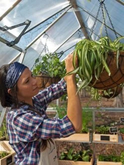 Canopia® By Palram Balance Greenhouse, 8' X 12' 29 Canopia® By Palram Balance Greenhouse, 8' X 12' -Garden Care Shop 8588023 07V jpg