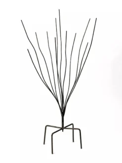 Bottle Bush -Garden Care Shop 8588047 0697