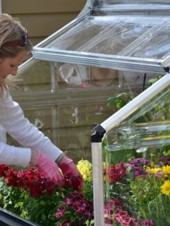 Canopia® By Palram Plant Inn™ Raised Bed Greenhouse, 4' X 4' -Garden Care Shop 8588308 04V tif