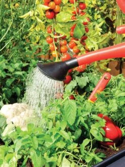 Canopia® By Palram Plant Inn™ Raised Bed Greenhouse, 4' X 4' -Garden Care Shop 8588308 06V tif