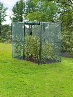 Crop Cage, 4' X 8' 14 Crop Cage, 4' X 8' -Garden Care Shop 8589160 002 tif