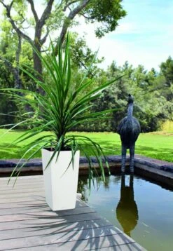 LechuzaĀ® Cubico Color Tall Self-Watering Planters