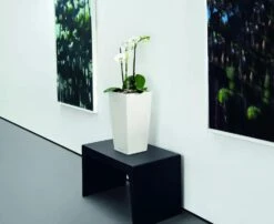 Lechuza® Cubico Color Tall Self-Watering Planters -Garden Care Shop 8589485 03V tif