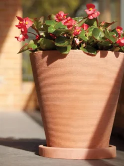 Universal Round Planter Saucers 7 Universal Round Planter Saucers -Garden Care Shop 8589526 001V tif