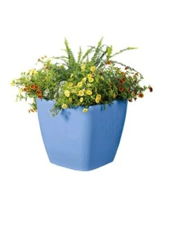 Viva Square Self-Watering Rolling Planter, 14" Diameter -Garden Care Shop 8589777BL 6080 tif