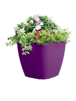 Viva Square Self-Watering Rolling Planter, 17.5" Diameter 7 Viva Square Self-Watering Rolling Planter, 17.5" Diameter -Garden Care Shop 8589778PR 6126 tif