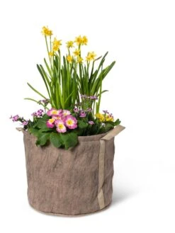 Gardener's Best® Universal Grow Bag -Garden Care Shop 8590024 7307 tif