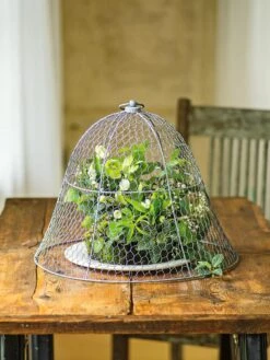 Chicken Wire Cloche -Garden Care Shop 8590210 1 tif
