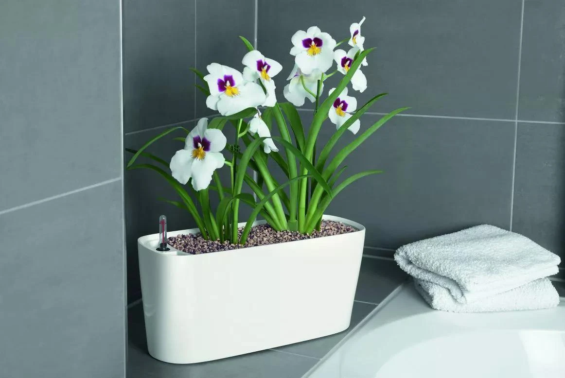 Lechuza® Delta Self-Watering Windowsill Planters 7 Lechuza® Delta Self-Watering Windowsill Planters - Image 7