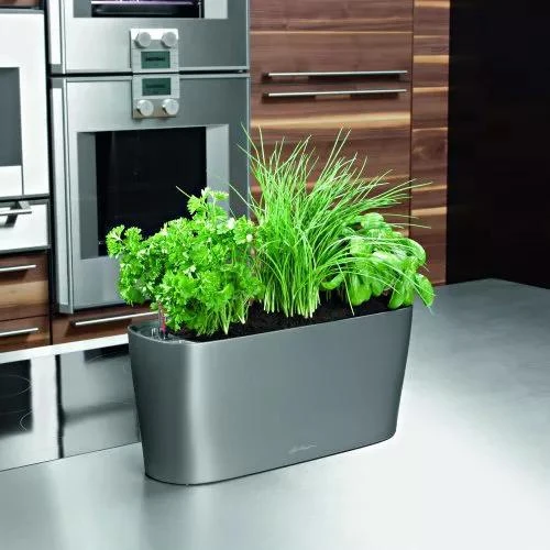 Lechuza® Delta Self-Watering Windowsill Planters 5 Lechuza® Delta Self-Watering Windowsill Planters - Image 5