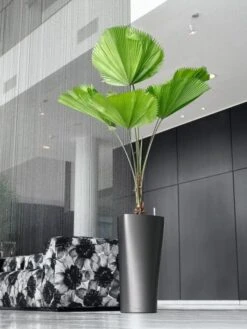 Lechuza® Delta Premium Self-Watering Planters -Garden Care Shop 8590299 02V tif