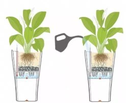 Lechuza® Delta Premium Self-Watering Planters -Garden Care Shop 8590299 07V tif