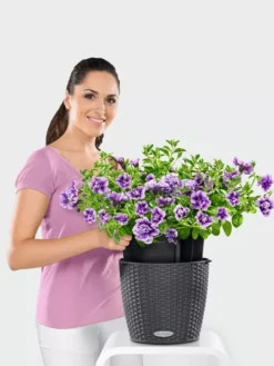 Lechuza® Nido Cottage Wicker Hanging Planter 6 Lechuza® Nido Cottage Wicker Hanging Planter -Garden Care Shop 8591154GT 006V tif