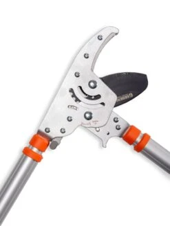 Telescoping Ratchet Loppers -Garden Care Shop 8591285 025 tif