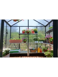 Canopia® By Palram Glory™ Greenhouse, 8' 37 Canopia® By Palram Glory™ Greenhouse, 8' -Garden Care Shop 8591547 02v