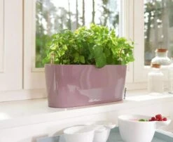 Lechuza® Delta Self-Watering Windowsill Planters 12 Lechuza® Delta Self-Watering Windowsill Planters -Garden Care Shop 8592361 01V tif