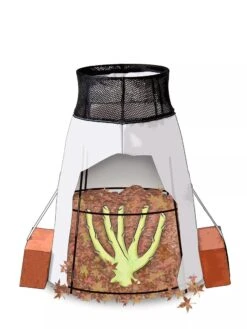 Rosy Cozy® Rose Cone, Large