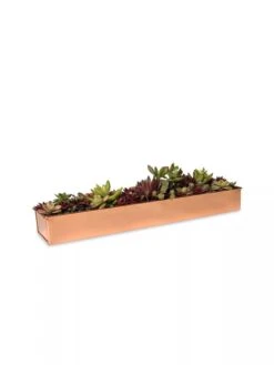Rectangular Copper Plant Tray, 18"x4" -Garden Care Shop 8593532 2892 tif