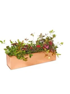 Tall Rectangular Copper Plant Tray, 18" X 5" X 4" -Garden Care Shop 8593534 2899 tif