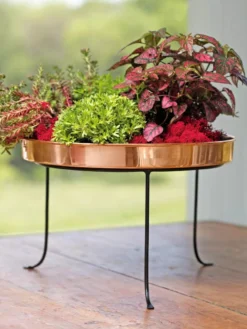 Large Round Copper Plant Tray, 14" 12 Large Round Copper Plant Tray, 14" -Garden Care Shop 8593567 4636 tif