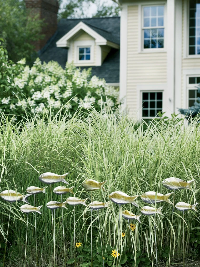 Fish Out Of Water Garden Stakes, Set Of 5 1 Fish Out Of Water Garden Stakes, Set Of 5