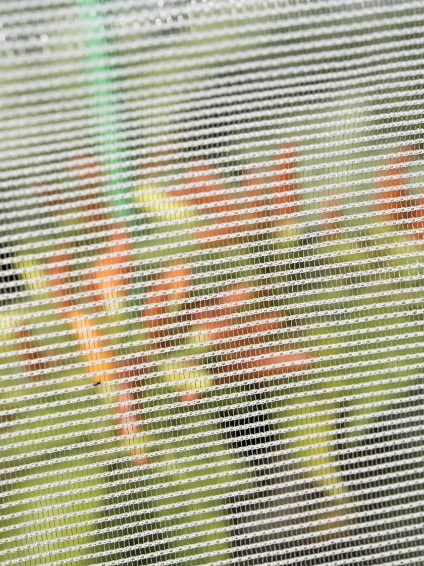 Bug Out Garden Insect Screen, 13' X 20' 2 Bug Out Garden Insect Screen, 13' X 20' - Image 2