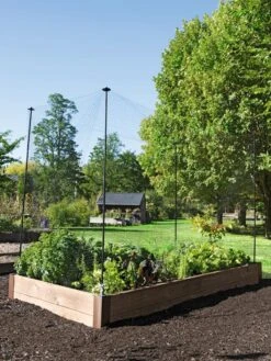 Protection Stakes For Netting, Set Of 4 8 Protection Stakes For Netting, Set Of 4 -Garden Care Shop 8594434 0015 tif