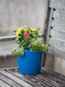 Viva Round Self-Watering Planter, 7" Diameter 7 Viva Round Self-Watering Planter, 7" Diameter -Garden Care Shop 8595222 1143 tif