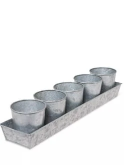 Galvanized Herb Planters With Rectangular Tray -Garden Care Shop 8595903 3924 tif