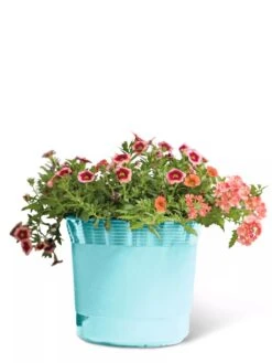 Eezy Gro Self-Watering Planters 12 Eezy Gro Self-Watering Planters -Garden Care Shop 8596426 103 tif