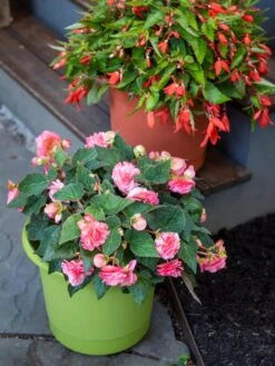 Eezy Gro Self-Watering Planters 9 Eezy Gro Self-Watering Planters -Garden Care Shop 8596427 0034 tif