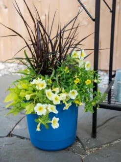 Front Page -Garden Care Shop 8596427 0035 tif